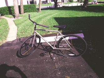 Adult single speed bicycle, coaster brake.