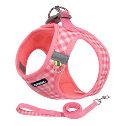 Harness And Leash M/L