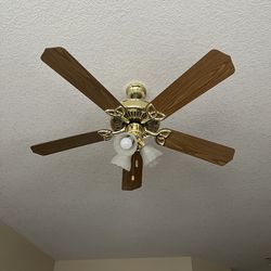 FREE Working fan