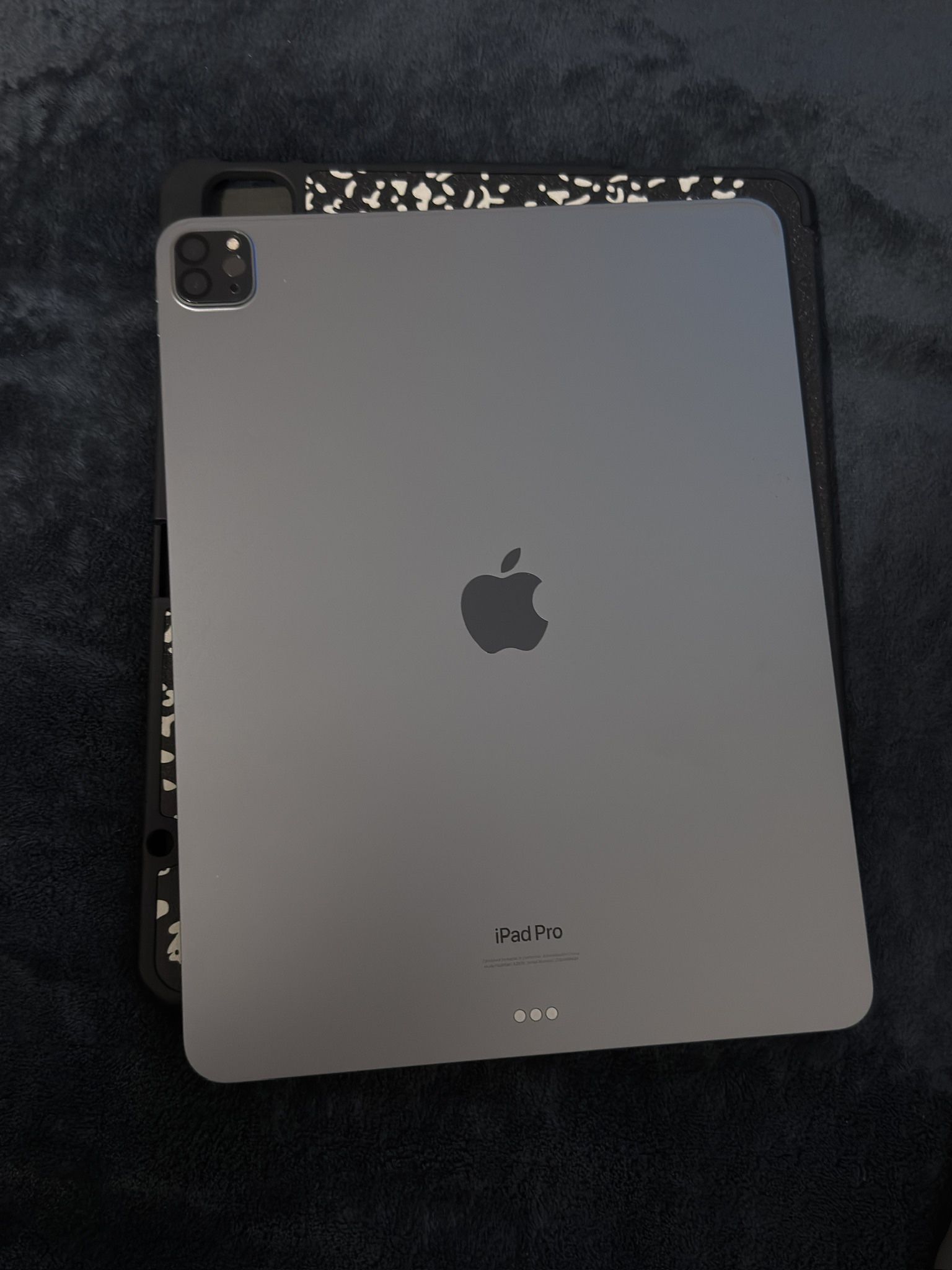 Ipad Pro 12.9 Inch 256gb
