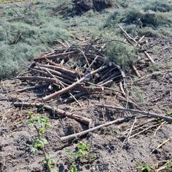 Free Wood Corcoran Ca 