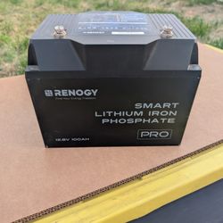 Renogy PRO 12v 100AH LFP Battery