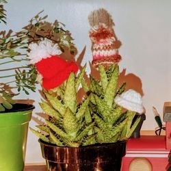 Mini Knitted Hats