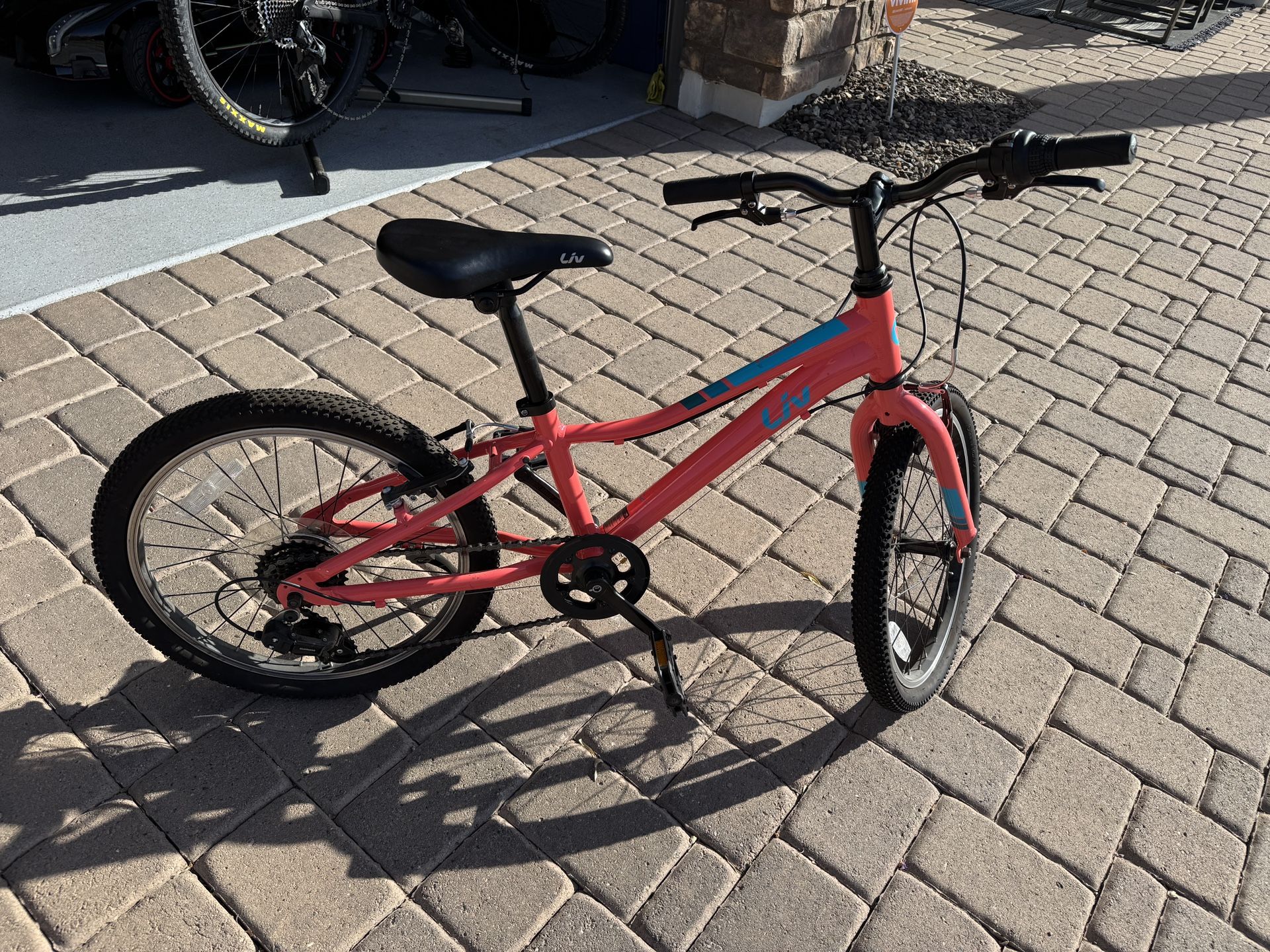 Liv Enchant (Giant) 20” Girl Bike