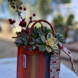 Gift Idea