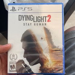 Dyning Light Bran New Ps5 Game