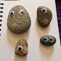 Pet Rocks