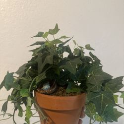 Fake Plant 