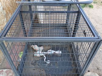 Cage