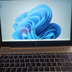 Light Gaming ATI Radeon Vega 8 Graphics Touchscreen LCD AMD Ryzen 5 Pro CPU 16GB RAM 512GB NVMe SSD USB C Port Windows 11 Pro 64 OS 