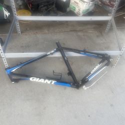 Giant Revel 2 