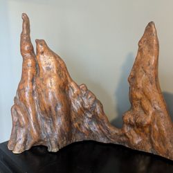 MCM Cypress Knee Wood Sculpture 