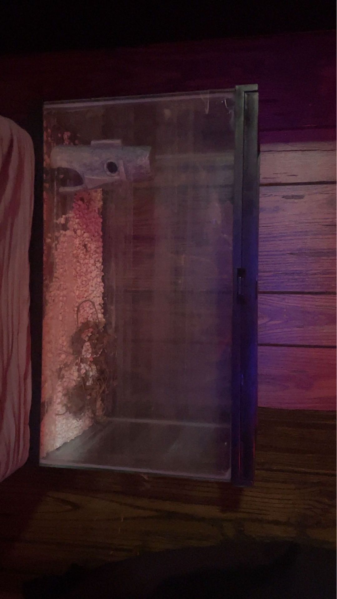 10 Gal tank with top mesh