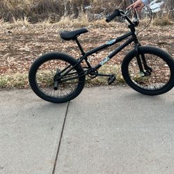 Elite BMX 20” 