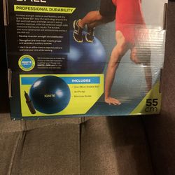 IGNITE Spri  Stable Ball