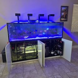 Redsea Reefer Max 1000 G2+