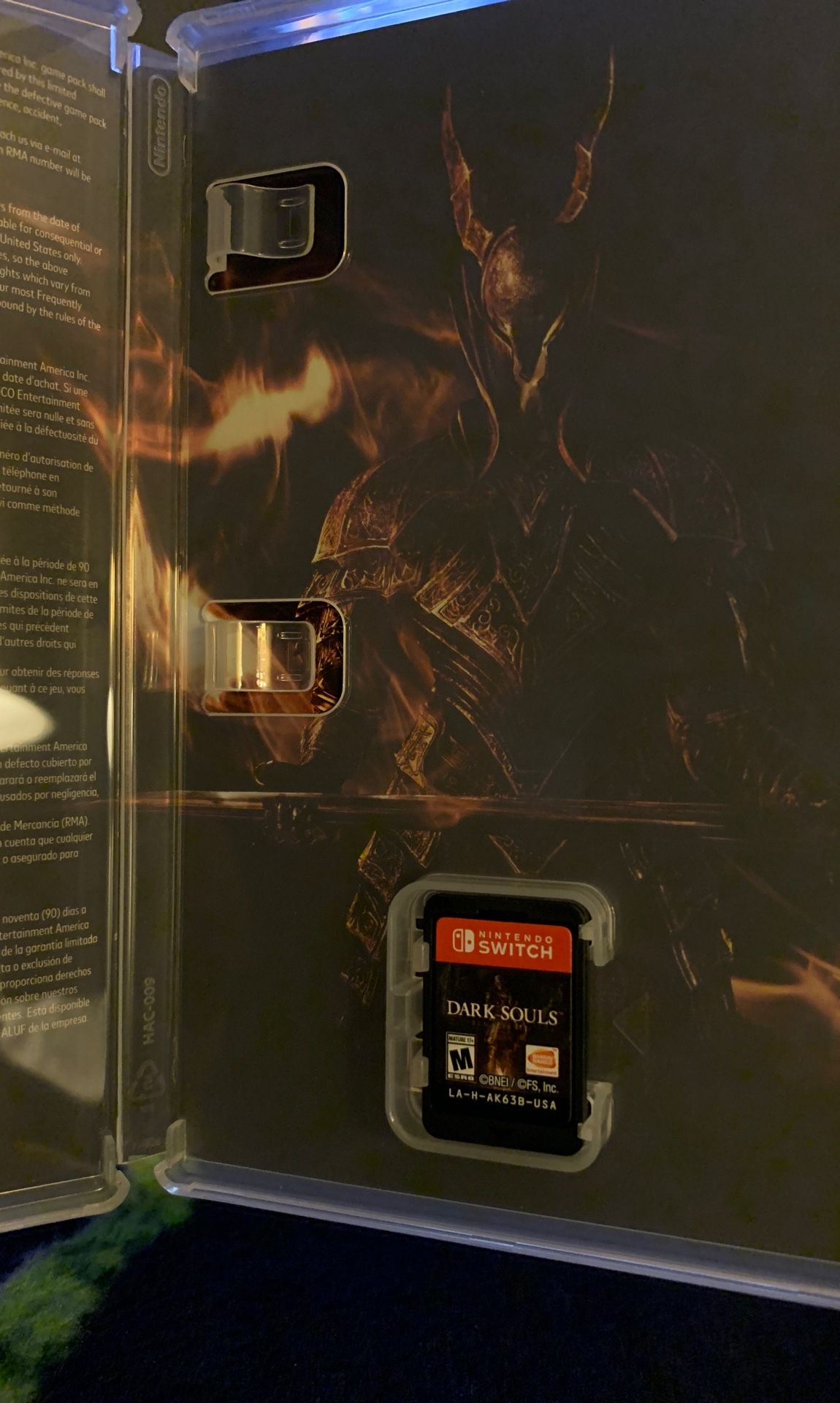 Dark souls switch game