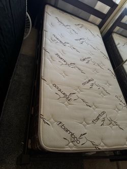 FREE twin mattress!!