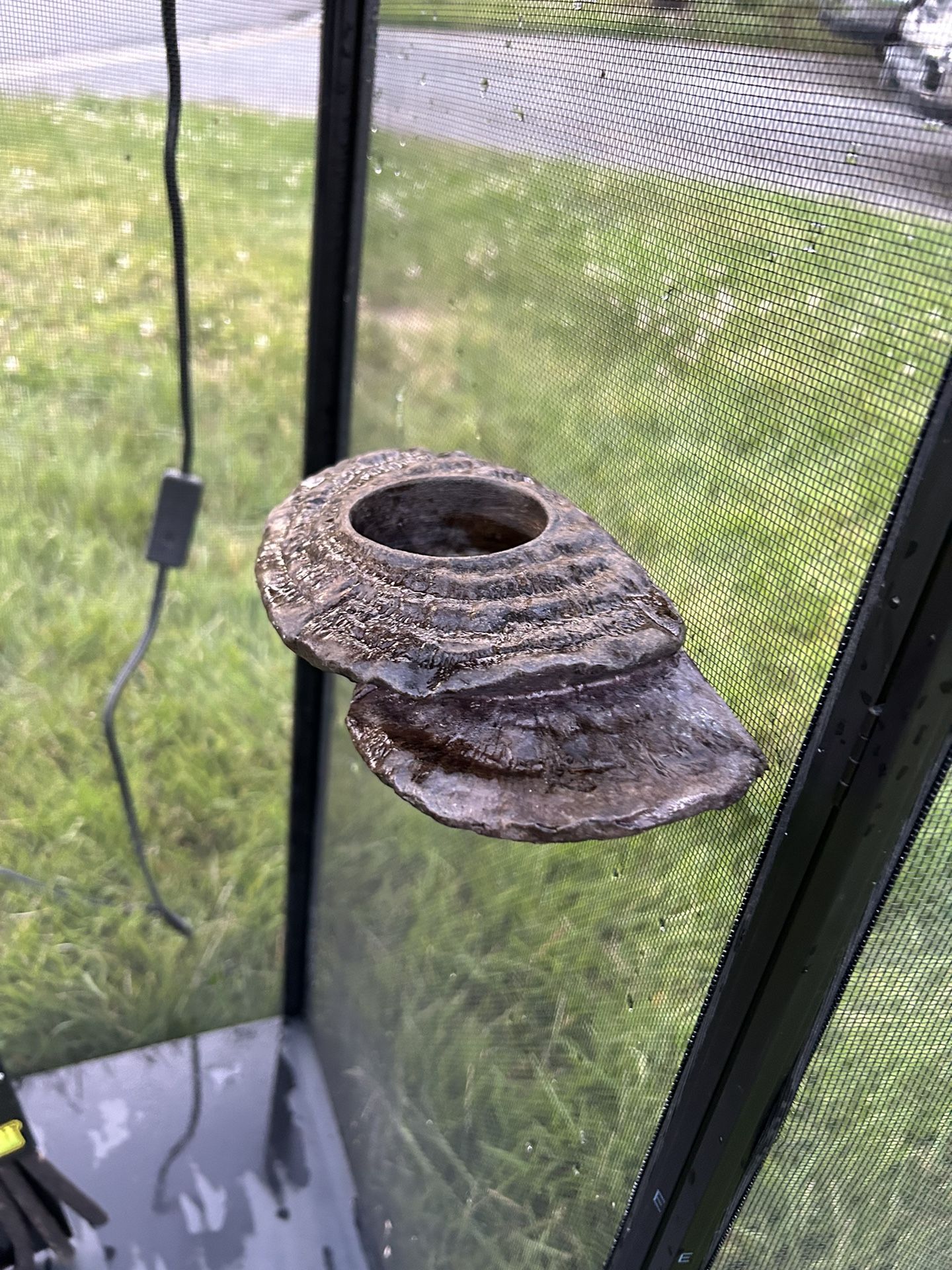 Reptile Enclosure