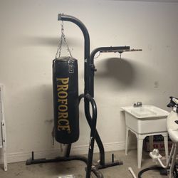 Punching Bag, Stand And Gloves 