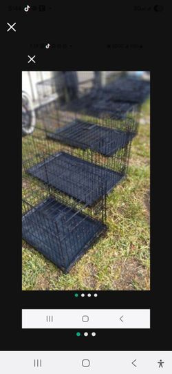 Dog cage starting @