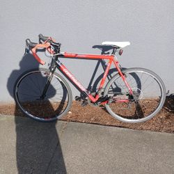 Richey Carbon Redline Conquest Team