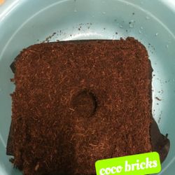 Coco Coir Fiber Soil Discs for House Plants, Succulents, Herbs, and Flowers.（18.5*12.2*11.2inch，30 Pack,33 pound）