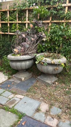 Plant Pots