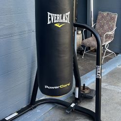 Everlast Punching Bag