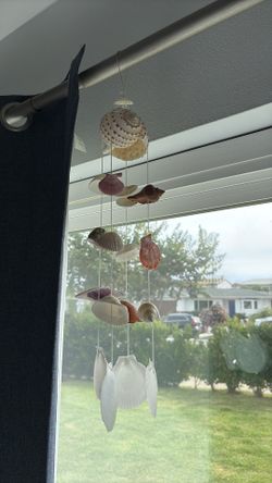 Sea shell