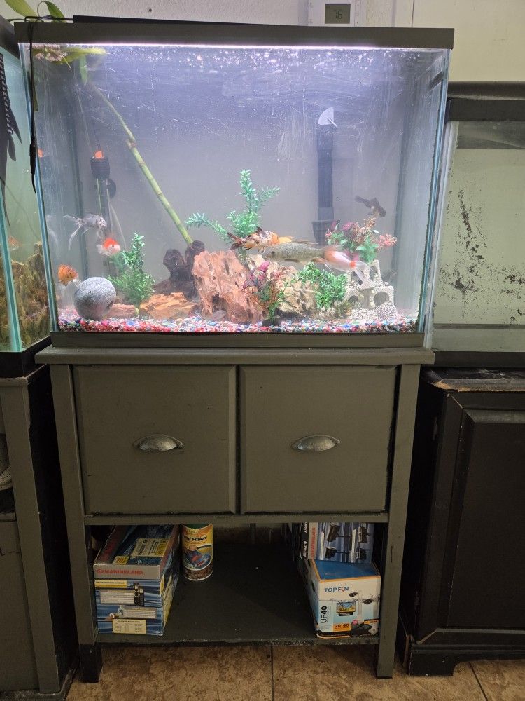 Fish Tank And stand 40 Gallons 