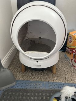 Self Cleaning Litter Box 