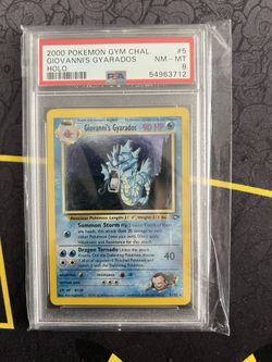 Gyrados Gym Hero’s