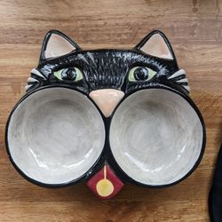 Cat Food Bowl