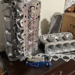 B16 Head