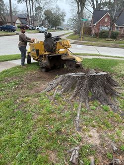 Stump Grinding