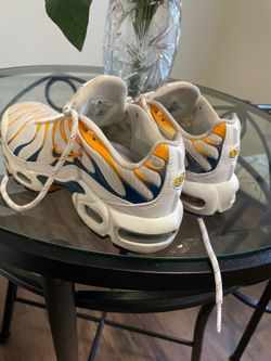 Nike air max plus