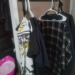 small closet with wheels/under bed storage with wheels$20