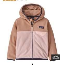 Patagonia Micro D Snap-T Jacket