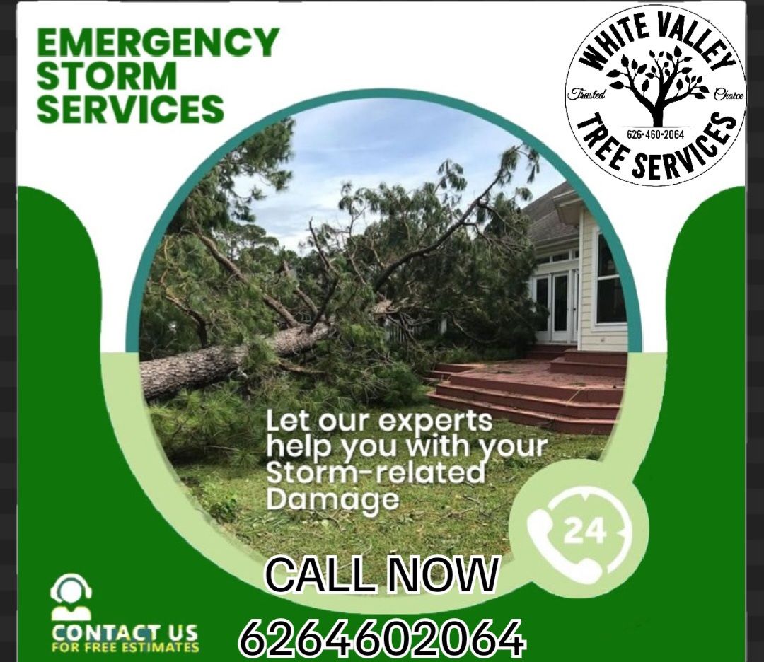 Emergency Tree Remove