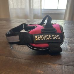 Small/medium Breed Service Dog Best