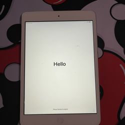 iPad Mini 2 (LOCKED)