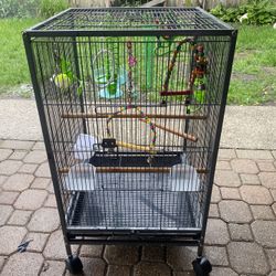 Bird Cage 