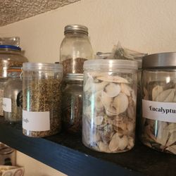 Dried Flowers /herbs / Sea Shells / 💎