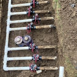  Sprinkles ,sod & Trimmer 🌲 