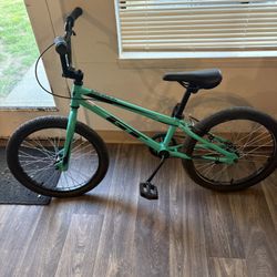 20” GT Berm BMX