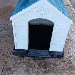 Dog House