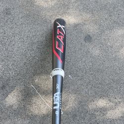 Cat x usa 30-8