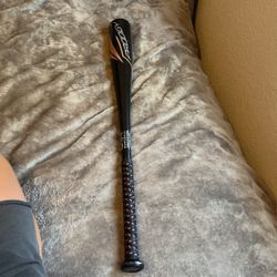 Prodigy Baseball Bat