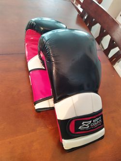 16oz Boxing Gloves and Training Mitts